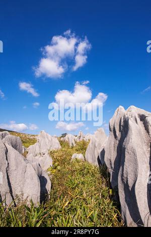 Akiyoshi plateau in autumn Stock Photo