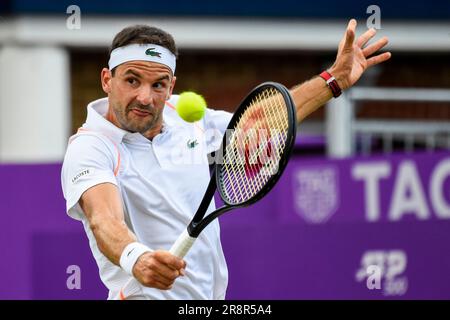 London, UK.  22 June 2023. Gregor Dimitrov (Bul) in his round 2 match against Francisco Cerundolo (Arg) at the Cinch Championships at The Queen’s Club in west London.  Credit: Stephen Chung / Alamy Live News Stock Photo