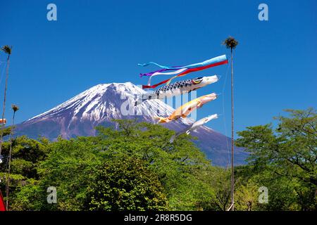 Mount Fuji and carp banner Stock Photo