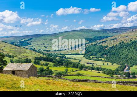 Swaledale in the Yorkshire Dales.   High above the village of Gunnerside with stone barns,  farmsteads, drystone walling and meadows and the River Swa Stock Photo