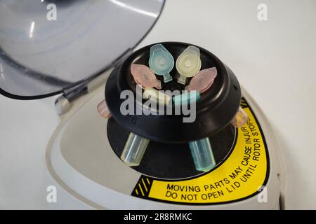 Microtube centrifuge for genetic testing in laboratory. Stock Photo