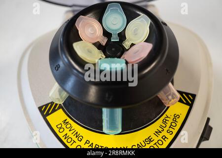 Microtube centrifuge for genetic testing in laboratory. Stock Photo