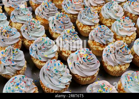 rainbow frosted vanilla flavored cupcake or muffin with sprinkles Stock Photo