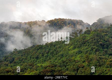 Mindo cloud forest at sunset, Quito region, Ecuador. Stock Photo