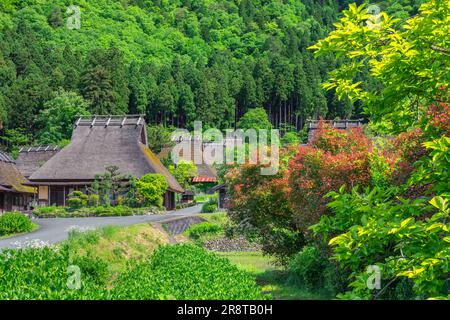 Miyama Kayabuki-no-Sato in Fresh Green Stock Photo