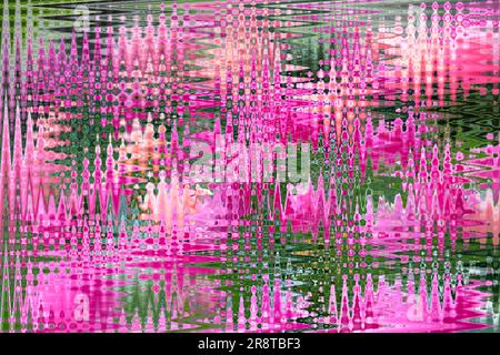 abstract photo of pink and white tulips edited and layered to create a pattern Stock Photo