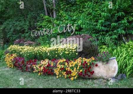 Old canoe filled with beautiful red and gold petunias, yellow daisies and grasses promoting the city of Center City, Minnesota USA. Stock Photo