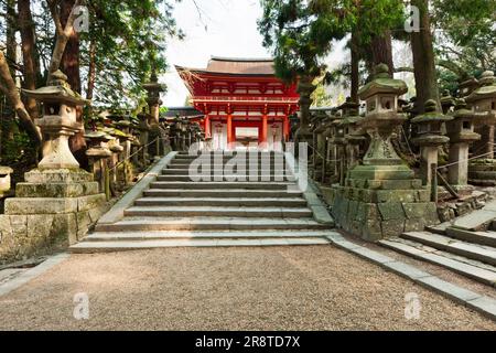 Kasuga-taisha Shrine in spring Stock Photo