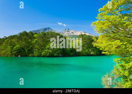 Bandai and Goshikinuma in early summer Stock Photo