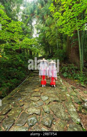 Women walking up the steps of Daimonzaka pilgrimage route dressed in Heian period costumes Stock Photo