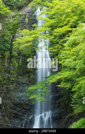 Minoh Waterfall in fresh green Stock Photo