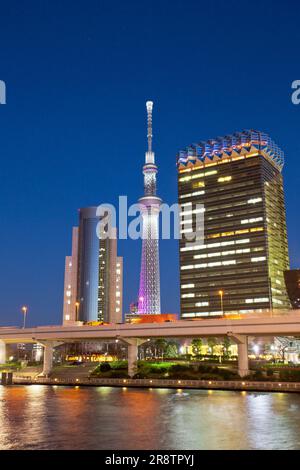 Night view of Tokyo Sky Tree and Asahi Beer Tower Stock Photo