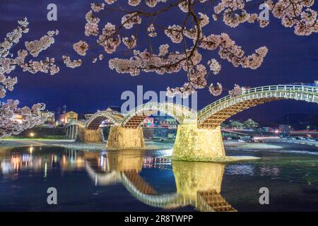 Kintai-bashi bridge and cherry blossoms at night Stock Photo