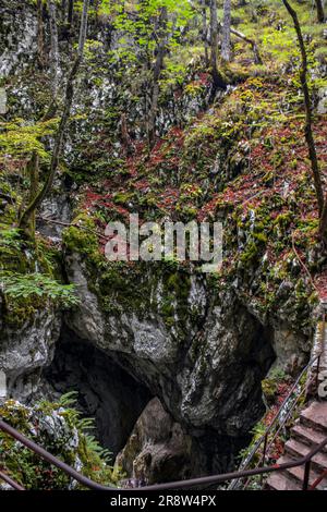 Stairway to the Bottom of Nature - A Cave Entrance in Plitvice Lakes National Park Stock Photo