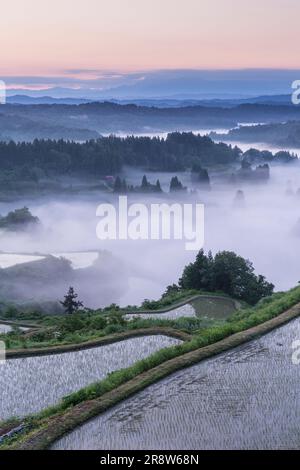 Sea of clouds and terraced rice fields of Hoshitoge Stock Photo