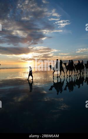 Camel procession in Broome Cable Beach, Western Australia Stock Photo