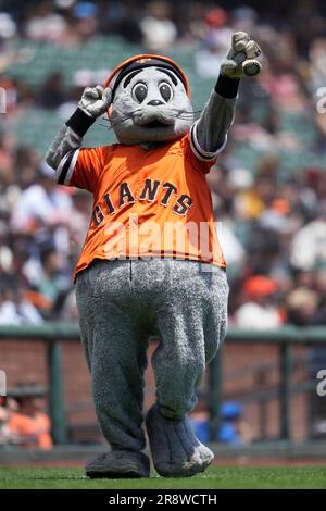 9 August, 2010: San Francisco Giants mascot LOU SEAL wearing a tie-dye shirt  with the Grateful Dead logo during Jerry Garcia tribute night at AT&T Park  in San Francisco, California. The San