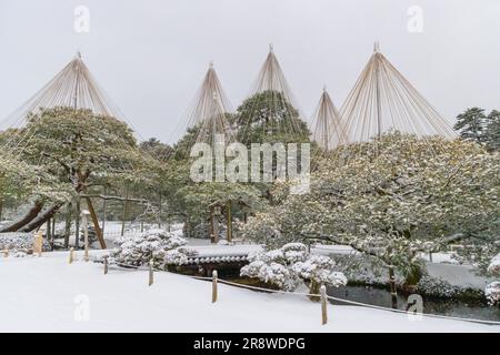 Hanging snow in Kenrokuen Stock Photo
