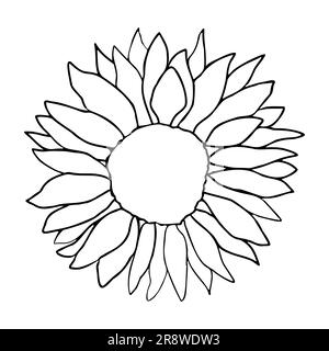 Cute sunflower decor for surface decoration. Hand drawn floral vector elements Stock Vector