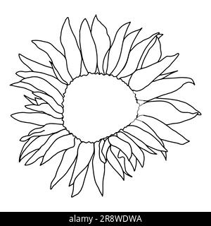 Cute sunflower decor for surface decoration. Hand drawn floral vector elements Stock Vector