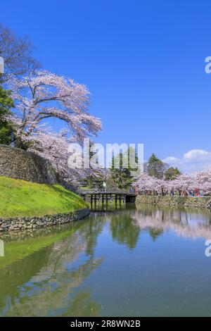 Hikone Castle in spring Stock Photo