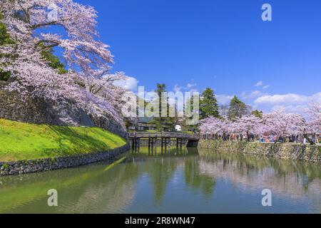 Hikone Castle in spring Stock Photo