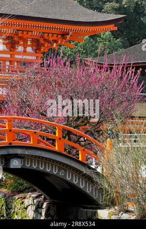 Shimogamo shinto shrine bridge in Kyoto, Japan. UNESCO World Heritage ...