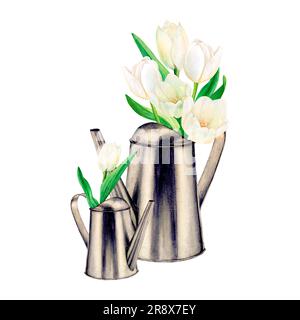 Watercolour drawn set of metal watering cans with beautiful white tulip flower bouquets on white background. Perfect for sticker, logo, napkin Stock Photo