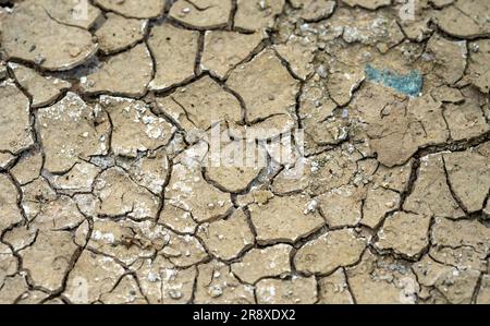 cracked earth in the garden Stock Photo