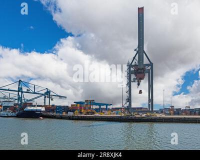 Panoramic picture from port Rotterdam with transport ships during daytime Stock Photo