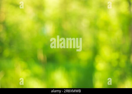 Green abstract natural blurred background. Copy space, defocused. Stock Photo