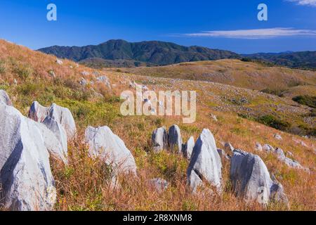 Akiyoshi plateau in autumn Stock Photo