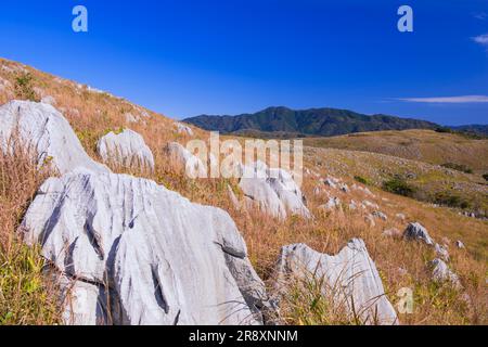 Akiyoshi plateau in autumn Stock Photo