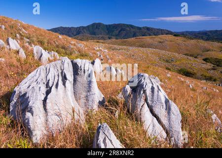 Akiyoshi plateau in autumn Stock Photo