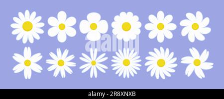 Daisy flower vector illustration. White chamomile cartoon retro design. Cute set on violet background. Stock Vector