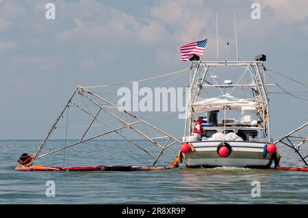 Commercial fishing boats have been converted to oil cleanup crews as part of the 'vessels of opportunity' program managed by BP. Stock Photo