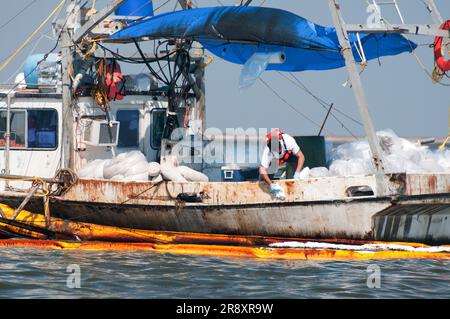 Commercial fishing boats have been converted to oil cleanup crews as part of the 'vessels of opportunity' program managed by BP. Stock Photo