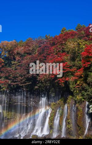 Shiraito Falls in Autumn Stock Photo