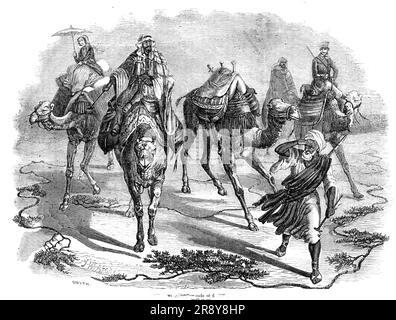 Simoom in the Desert, 1857. '...the wary and accustomed eye of the old greybearded camel-driver recognises in the murky banks quickly rising on the hot horizon the near approach of one of those dreadful sand-storms...The camels, with instinctive perception, quicken their pace to a fast trot; while the old man, putting his hand up to his eyes to shade them from the intense mid-day glare, runs on in front in the hope of yet meeting shelter before the fury of the simoom bursts over their heads and smothers them with intense clouds of dust...even the fair lady, in her great anxiety to reach a have Stock Photo