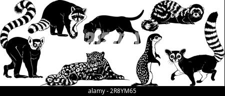 Animal silhouettes set isolated on white. Lemur, Raccoon, Hound, Leopard, Marbled Ferret, Ground Squirrel, Ringtail Cat. Vector cliparts. Stock Vector