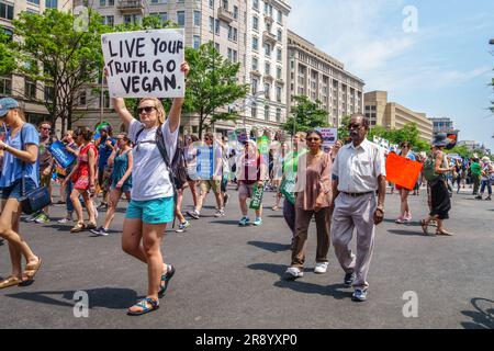 WASHINGTON, DC, USA - April 29, 2017. Protester holding sign reading 'Go Vegan' in crowd at the climate march in Washington DC. Stock Photo
