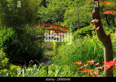 Asian garden in Muenzesheim, Kraichgau, Japan garden, red railing Stock Photo