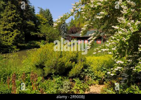 Asian Garden in Muenzesheim, Kraichgau, Japan Garden Stock Photo