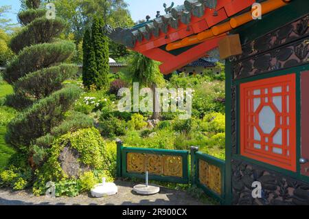 Asian garden in Muenzesheim, Kraichgau, Japan garden, tea house Stock Photo