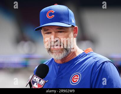 Chicago Cubs manager David Ross stands in the dugout during a baseball game  against the Pittsburgh Pirates in Pittsburgh, Friday, Sept. 23, 2022. (AP  Photo/Gene J. Puskar Stock Photo - Alamy