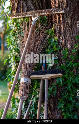 Garden tools leaning against a tree Stock Photo - Alamy