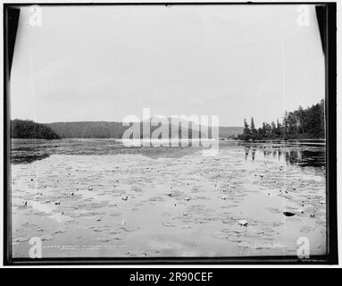 Saranac River and Round Lake, Adirondack Mountains, c1902. Stock Photo