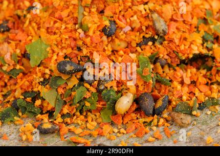 Shimichi Togarashi, ingredients chili, orange peel, sesame, seaweed, Japanese mountain pepper, ginger, chili Stock Photo