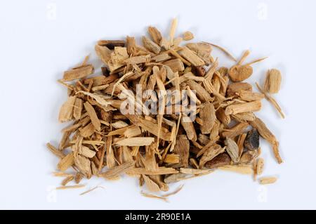 White sandalwood (Santalum album), incense woods, cut out, object Stock Photo