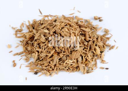 White sandalwood (Santalum album), incense woods, cut out, object Stock Photo